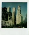 Woolworth Building, World Trade Center towers behind and to the left, Gift of the Richard Welli…