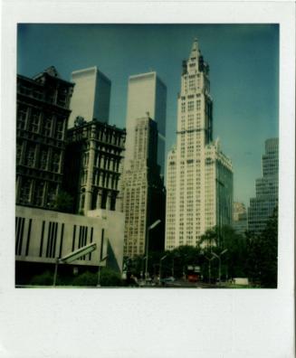 Woolworth Building, World Trade Center towers behind and to the left, Gift of the Richard Welli…