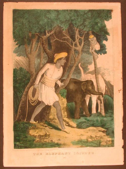 The Elephant Catcher.