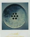 Circles, Gift of the Richard Welling Family, 2012.284.294  © 2014 The Connecticut Historical So…