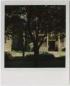 "Perfect Six" apartment building, with leafy tree in foreground, probably Hartford.  Gift of th…