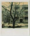 "Perfect Six" apartment building, with tree in foreground, probably Hartford.  Gift of the Rich…