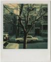 "Perfect Six" apartment building, with tree in foreground, probably Hartford.  Gift of the Rich…