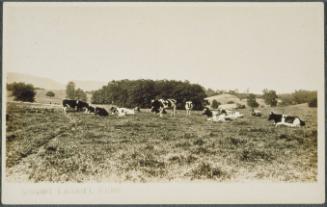 Connecticut Historical Society collection, 2000.179.200  © 2014 The Connecticut Historical Soci…