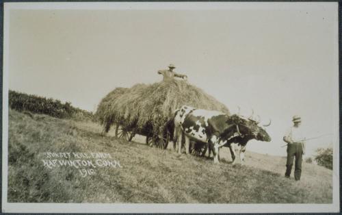 Connecticut Historical Society collection, 2000.179.179  © 2001 The Connecticut Historical Soci…