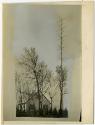 Gift of the Hon. Joyce Krutick Craig (ret.), in memory of her husband John S. Craig, 2012.563.6…