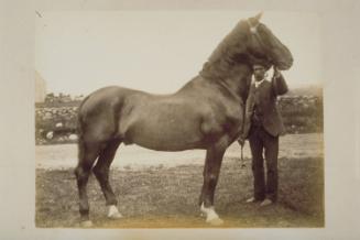 Connecticut Historical Society collection, 2000.191.165  © 2001 The Connecticut Historical Soci…