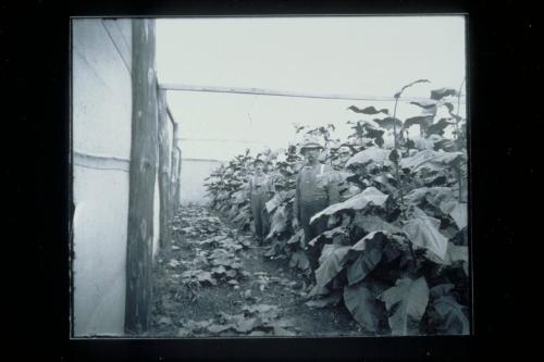 Connecticut Historical Society collection, 2000.186.2   © 2001 The Connecticut Historical Socie…