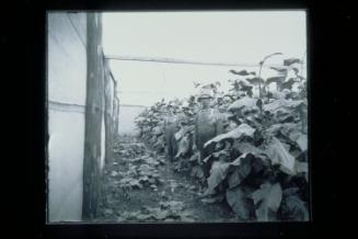 Connecticut Historical Society collection, 2000.186.2   © 2001 The Connecticut Historical Socie…