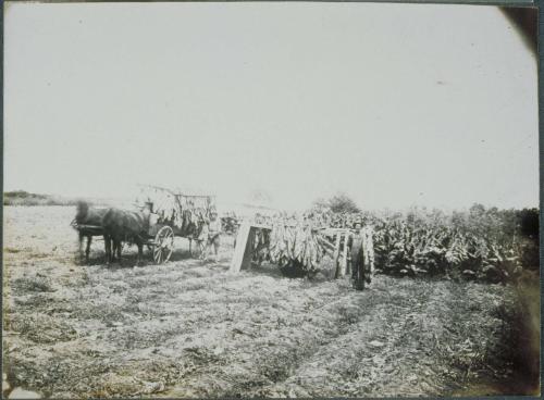 Connecticut Historical Society collection, 2000.205.2   © 2001 The Connecticut Historical Socie…