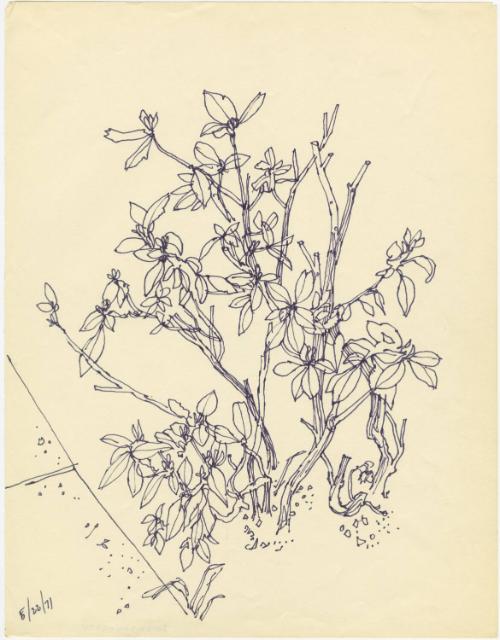 Gift of the Richard Welling Family, 2012.284.5274  © 2014 The Connecticut Historical Society.
