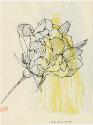 Gift of the Richard Welling Family, 2012.284.5260dt1  © 2014 The Connecticut Historical Society…
