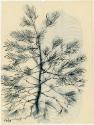 Gift of the Richard Welling Family, 2012.284.5269b © 2014 The Connecticut Historical Society.