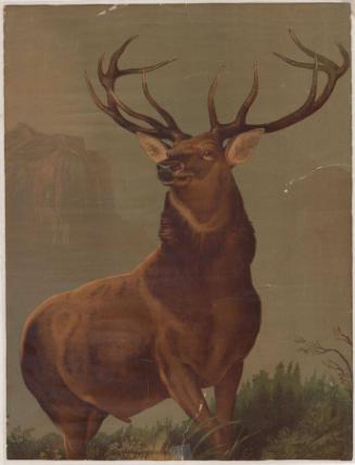 Connecticut Historical Society collection, 2014.100.2  © 2014 The Connecticut Historical Societ…