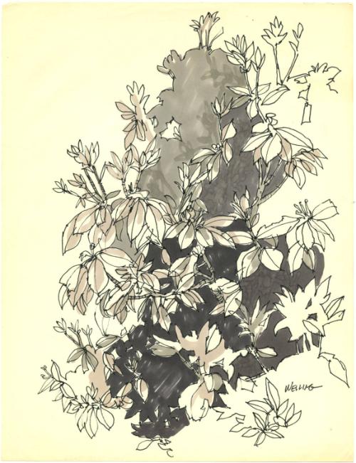 Gift of the Richard Welling Family, 2012.284.5282  © 2014 The Connecticut Historical Society.