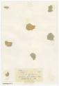 Gift of The Hartford Dental Society, 2009.410.15.3back  © 2015 The Connecticut Historical Socie…
