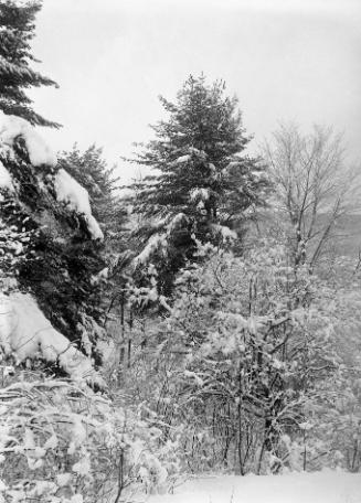 Gift of Margaret G. Giles 2015.87.166 © 2016 The Connecticut Historical Society