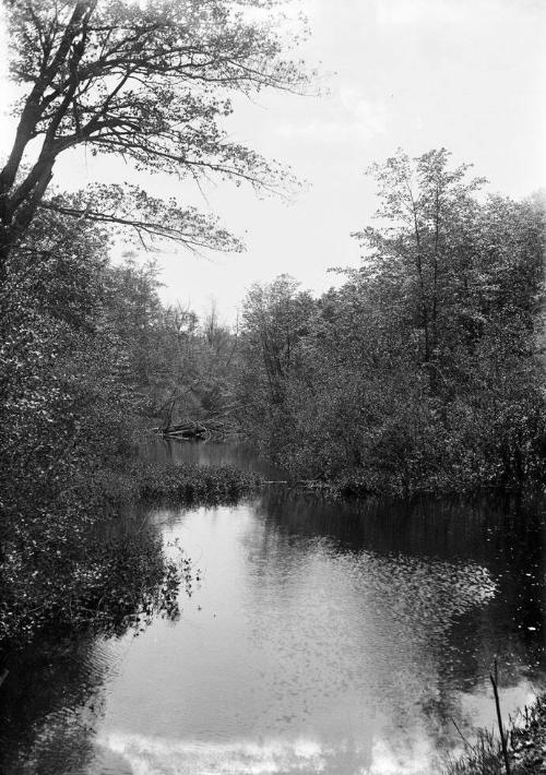 Gift of Margaret G. Giles 2015.87.175 © 2016 The Connecticut Historical Society