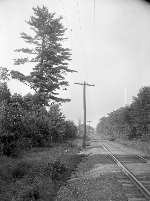 Gift of Margaret G. Giles 2015.87.186 © 2016 The Connecticut Historical Society