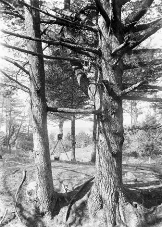 Gift of Margaret G. Giles 2015.87.189 © 2016 The Connecticut Historical Society