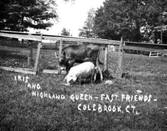 Gift of Margaret G. Giles 2015.87.300 © 2016 The Connecticut Historical Society