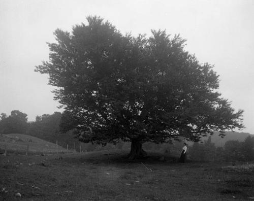 Gift of Margaret G. Giles 2015.87.303 © 2016 The Connecticut Historical Society