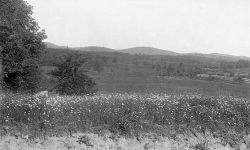 Gift of Margaret G. Giles 2015.87.355 © 2016 The Connecticut Historical Society