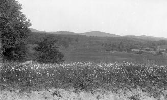 Gift of Margaret G. Giles 2015.87.355 © 2016 The Connecticut Historical Society
