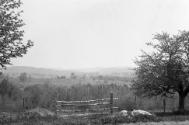 Gift of Margaret G. Giles 2015.87.385 © 2016 The Connecticut Historical Society.