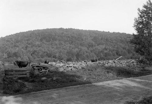 Gift of Margaret G. Giles 2015.87.447 © 2016 The Connecticut Historical Society.