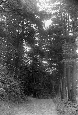Gift of Margaret G. Giles 2015.87.587 © 2016 The Connecticut Historical Society.