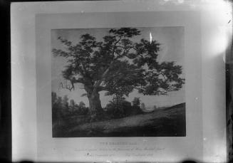 Gift of Margaret G. Giles 2015.87.636 © 2016 The Connecticut Historical Society.