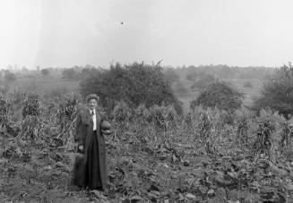 Gift of Margaret G. Giles 2015.87.658 © 2016 The Connecticut Historical Society.