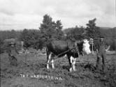 Gift of Margaret G. Giles 2015.87.681 © 2016 The Connecticut Historical Society.