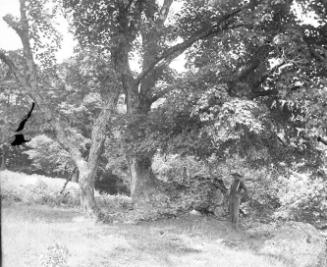 Gift of Margaret G. Giles 2015.87.690 © 2016 The Connecticut Historical Society.