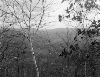 Gift of Margaret G. Giles 2015.87.695 © 2016 The Connecticut Historical Society.