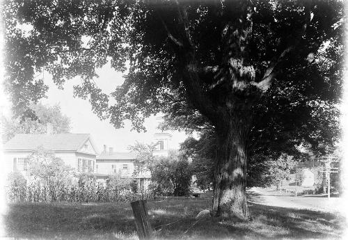 Gift of Margaret G. Giles 2015.87.777 © 2016 The Connecticut Historical Society.