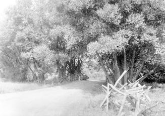 Gift of Margaret G. Giles 2015.87.1031 © 2016 The Connecticut Historical Society.