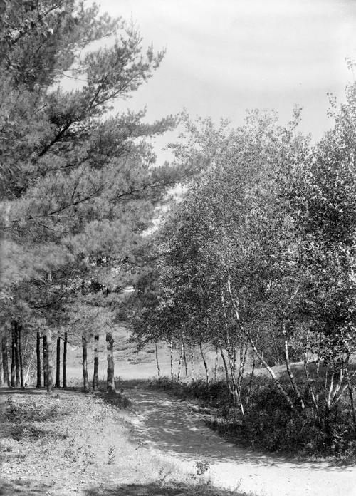 Gift of Margaret G. Giles 2015.87.1034 © 2016 The Connecticut Historical Society.