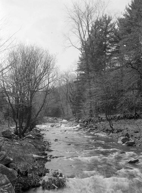 Gift of Margaret G. Giles 2015.87.1156 © 2016 The Connecticut Historical Society.