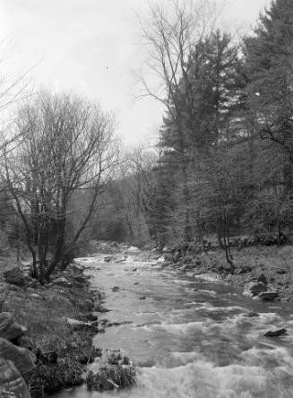 Gift of Margaret G. Giles 2015.87.1156 © 2016 The Connecticut Historical Society.