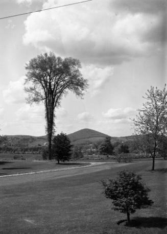 Gift of Margaret G. Giles 2015.87.1312 © 2016 The Connecticut Historical Society.
