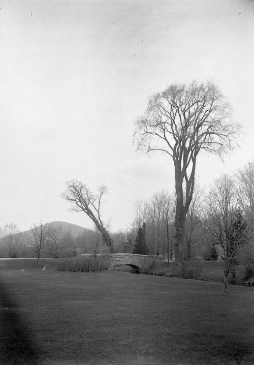 Gift of Margaret G. Giles 2015.87.1388 © 2016 The Connecticut Historical Society.