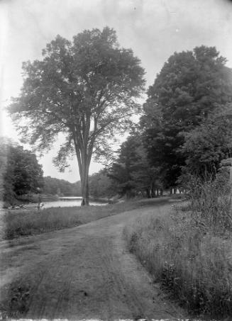 Gift of Margaret G. Giles 2015.87.1535 © 2016 The Connecticut Historical Society.