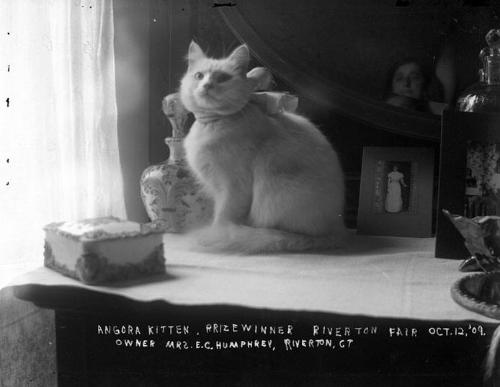 Gift of Margaret G. Giles 2015.87.1592 © 2016 The Connecticut Historical Society.