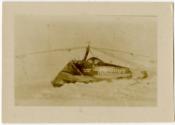 Gift of Mrs. Robert D. Scanlon, 1978.55.9 © 2016 The Connecticut Historical Society.