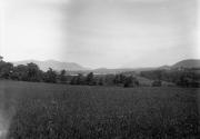 Gift of Margaret G. Giles 2015.87.1649 © 2016 The Connecticut Historical Society.