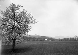 Gift of Margaret G. Giles 2015.87.1704 © 2016 The Connecticut Historical Society.