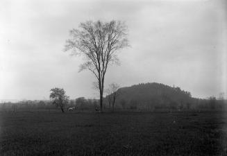 Gift of Margaret G. Giles 2015.87.1705 © 2016 The Connecticut Historical Society.