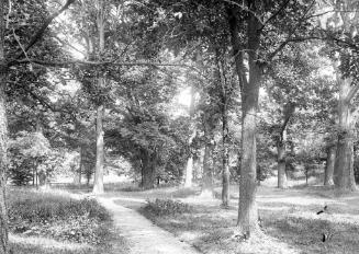Gift of Margaret G. Giles 2015.87.1716 © 2016 The Connecticut Historical Society.